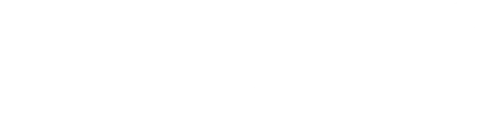 Master Sport